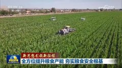 <b>增精量播种面积1000万亩以上</b>