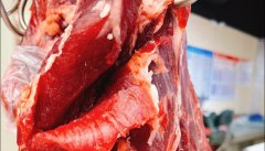 <b>高人平易近查察院发布查察手艺支撑刑事查察手</b>